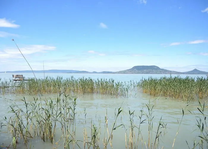In - Balaton 18581